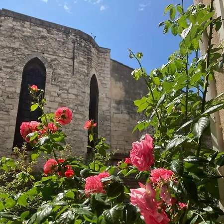 Cocooning Avignon